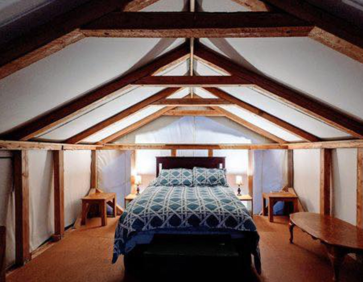 The Homestead Adventures