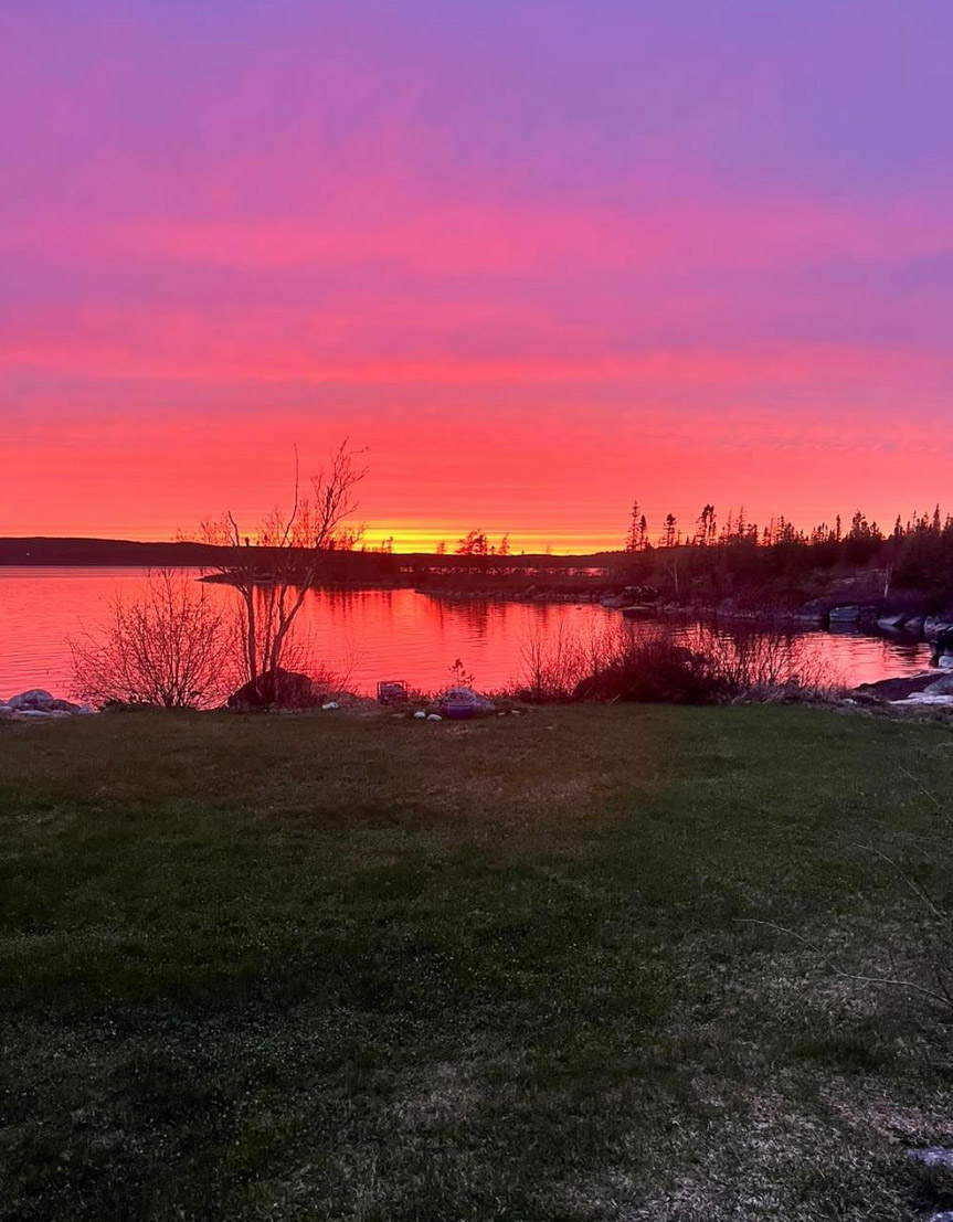 The Homestead Adventures